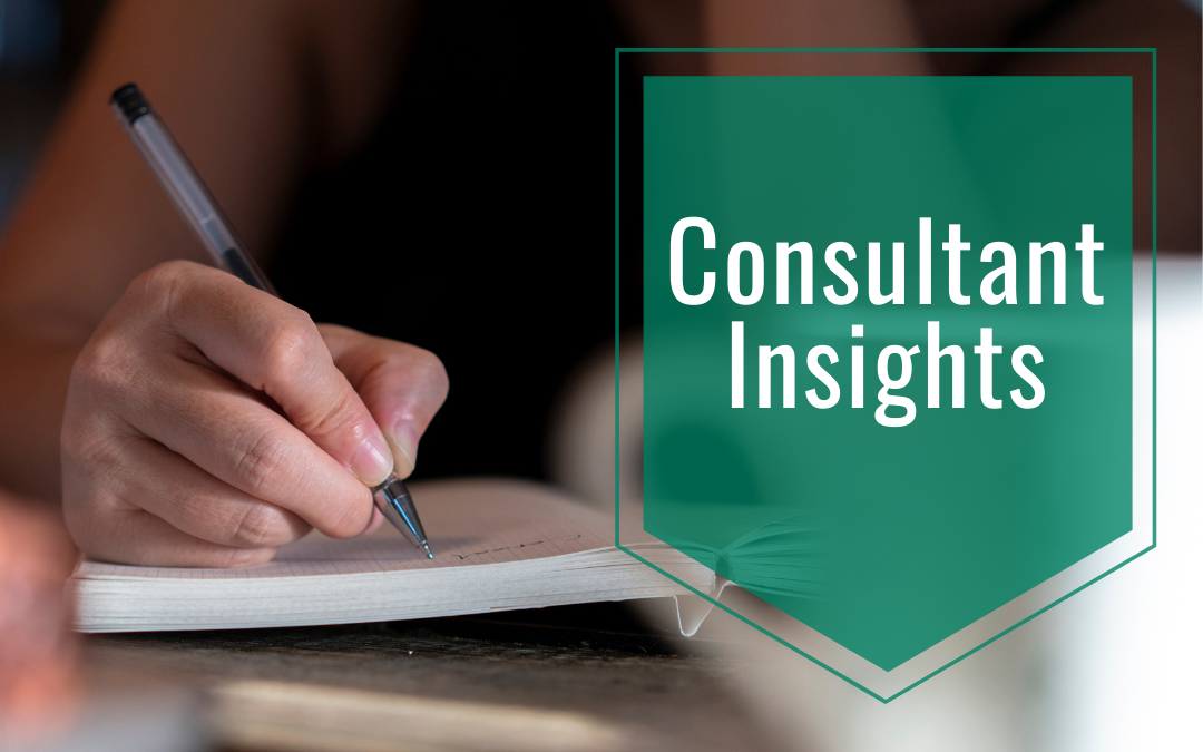 The Role of the Hollstadt Consultant Coach